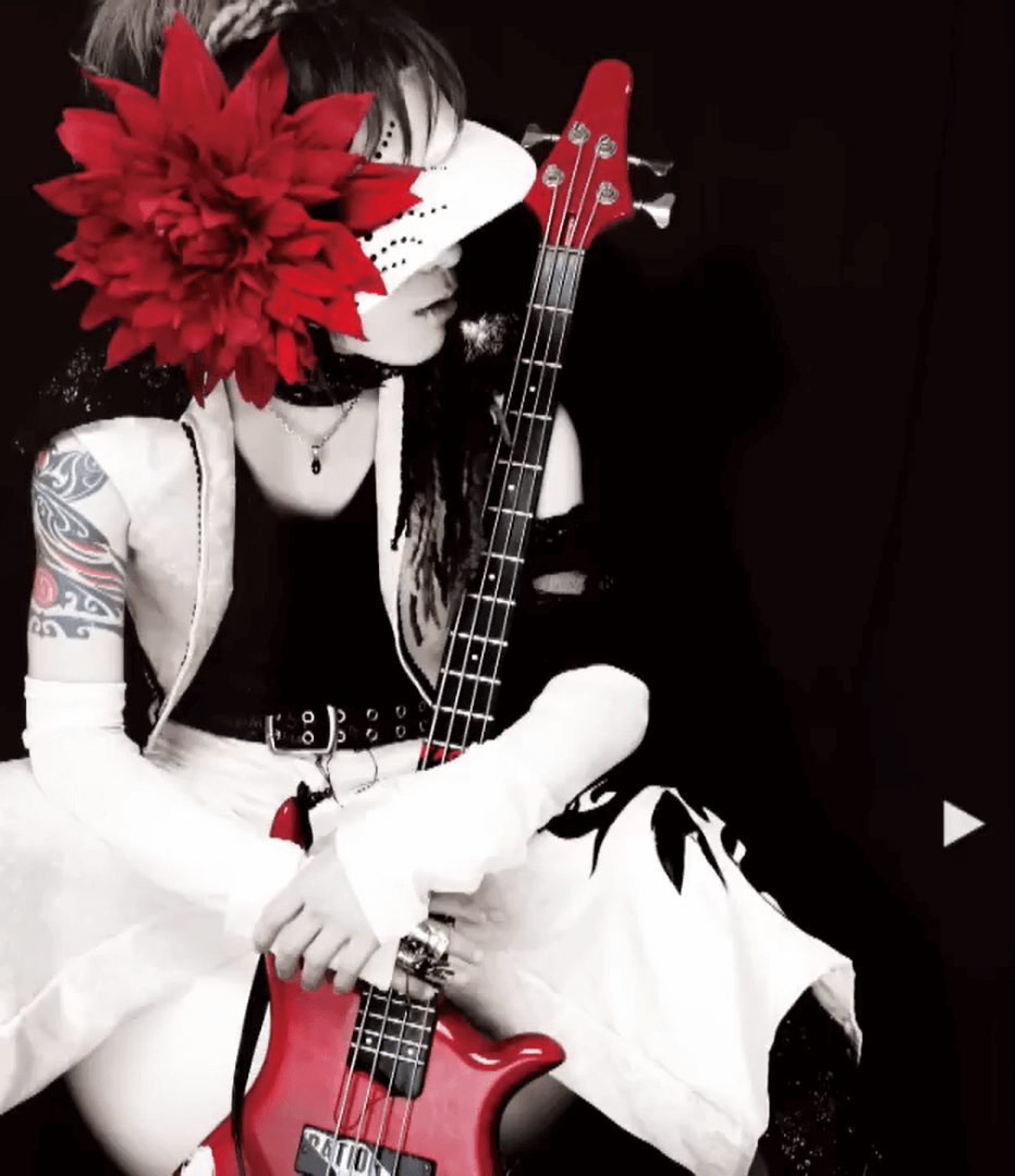 Mst project Shiki profile | Mst project 四季プロフィール | vkgy