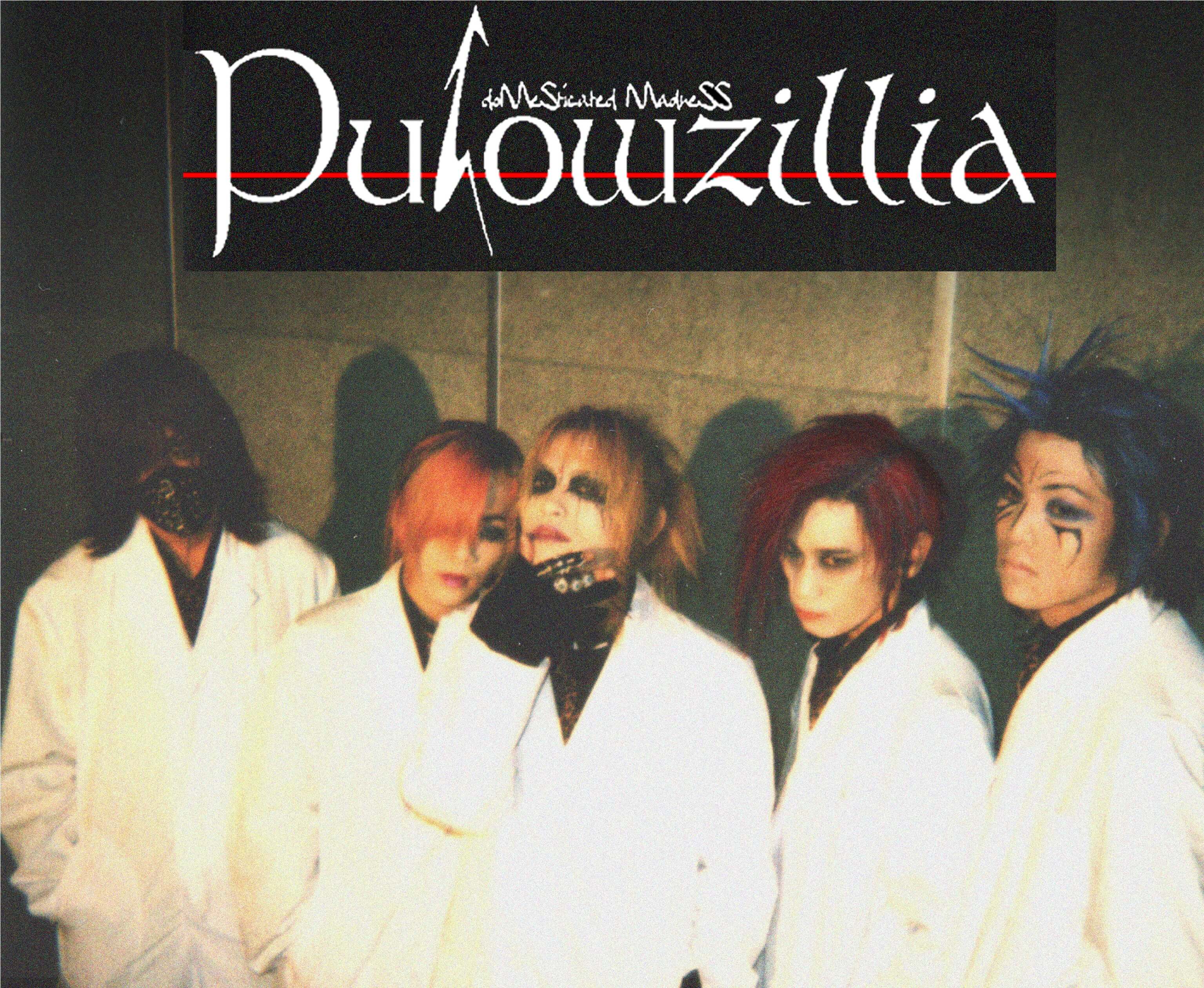 Pulowzillia profile | Pulowzilliaプロフィール | vkgy (ブイケージ)