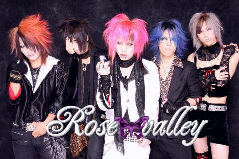 Rose valley profile | Rose valleyプロフィール | vkgy (ブイケージ)