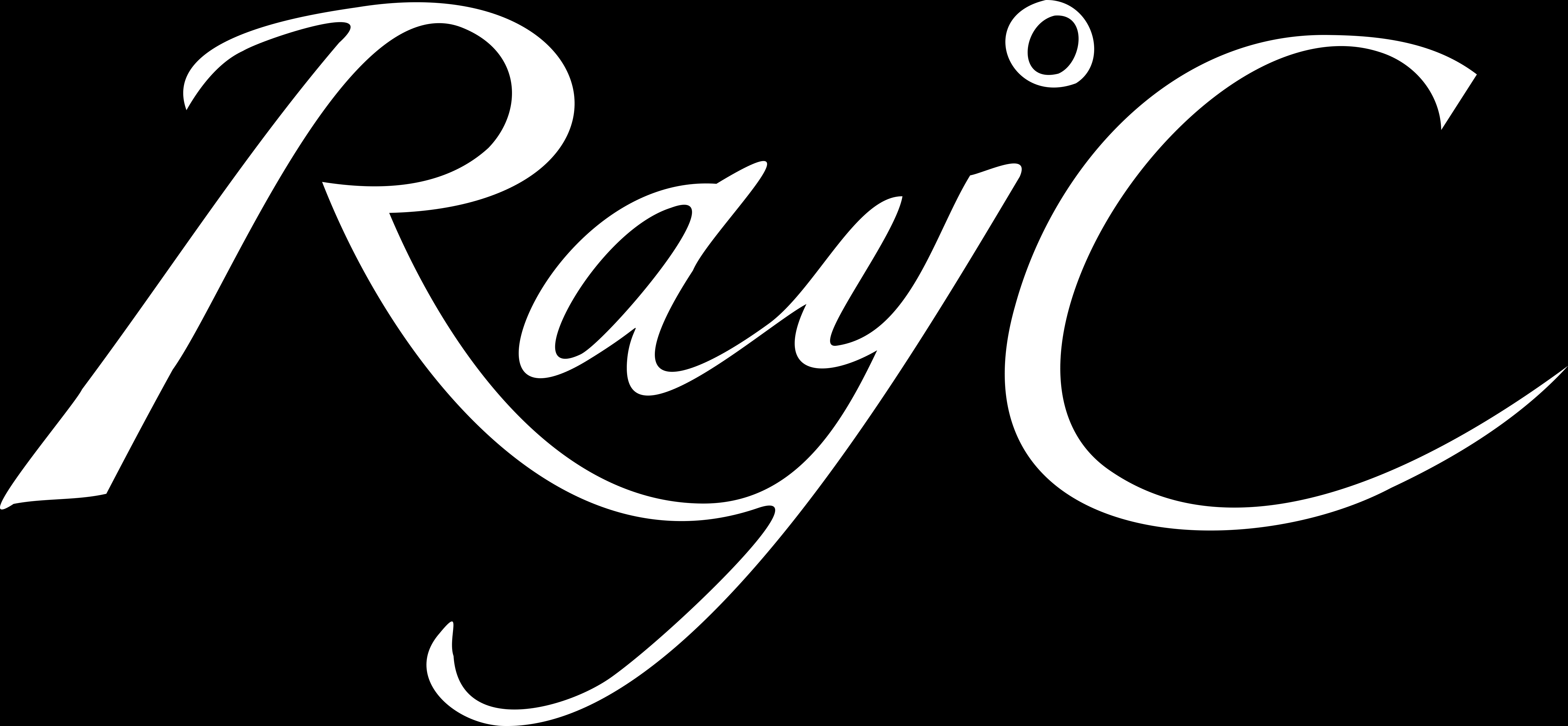 Ray℃ profile | Ray℃プロフィール | vkgy (ブイケージ)
