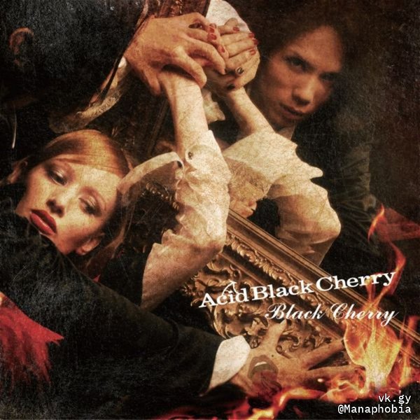 Acid Black Cherry - Black Cherry Tsuujouban