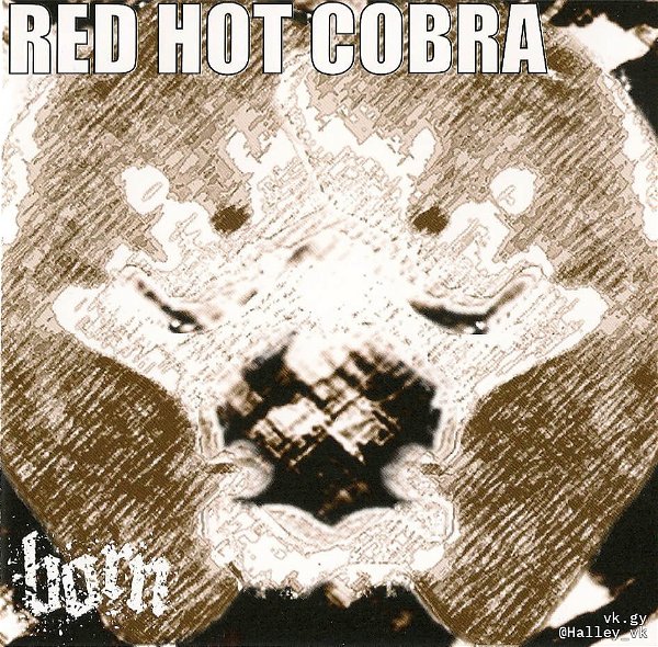 BORN - RED HOT COBRA