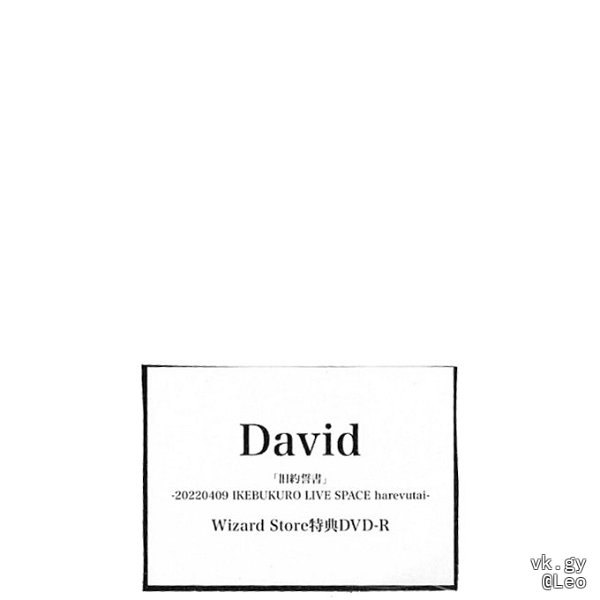 DAVID - Wizard Store Tokuten DVD-R