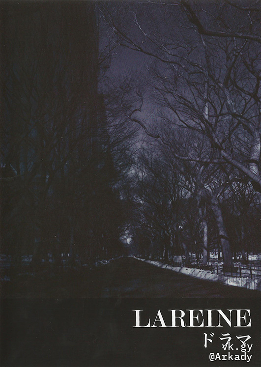 LAREINE ドラマ Drama - LAREINE | vkgy (ブイケージ)