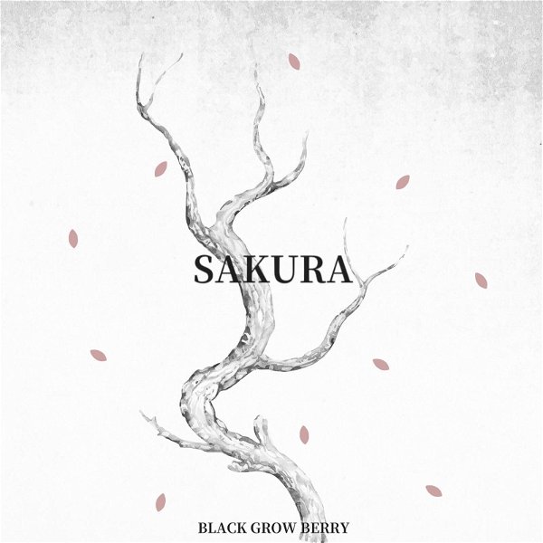 BLACK GROW BERRY - SAKURA