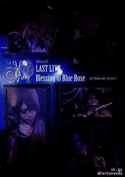 AO - Blessing of Blue Rose~Aoki Bara ni Negai wo Komete~