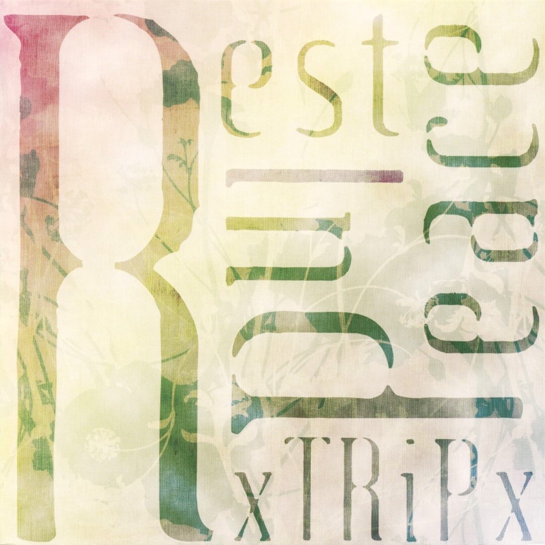 邦楽 xTRiPx Rest in Peace Rest in Peace - xTRiPx | vkgy (ブイケージ)
