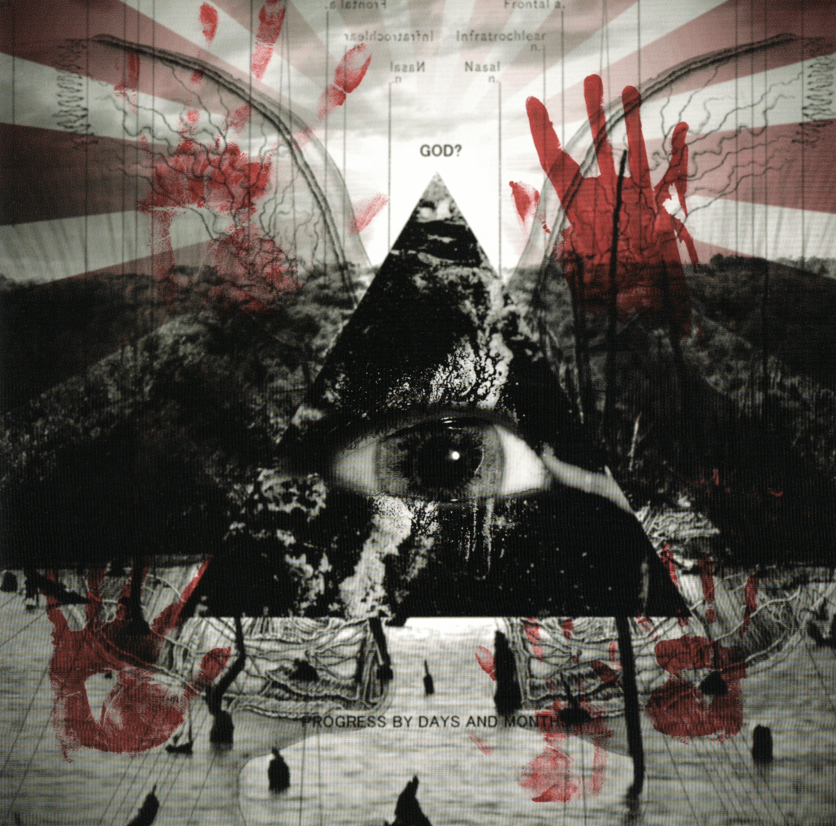 My BACTERIA HEAT IsLAND discography | My BACTERIA HEAT IsLAND