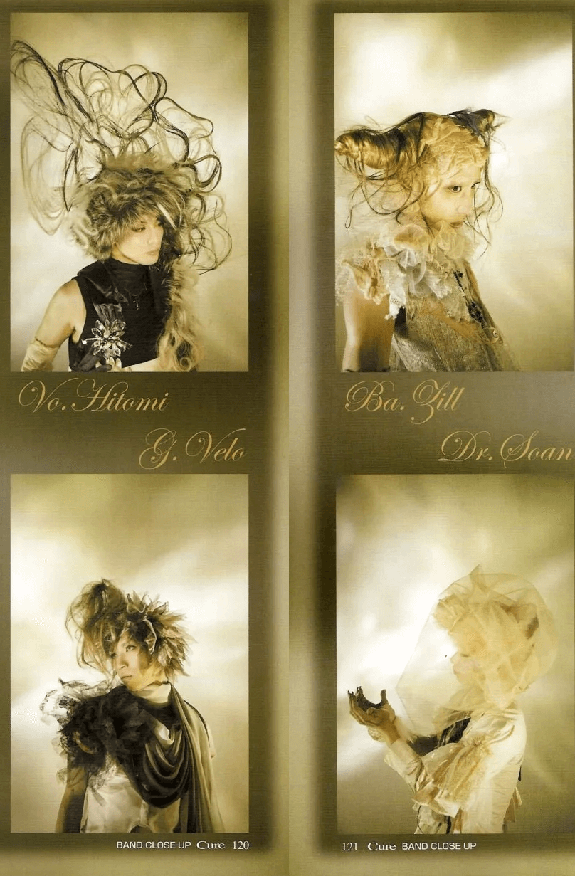 Zill profile | Zillのプロフィール | vkgy (ブイケージ)