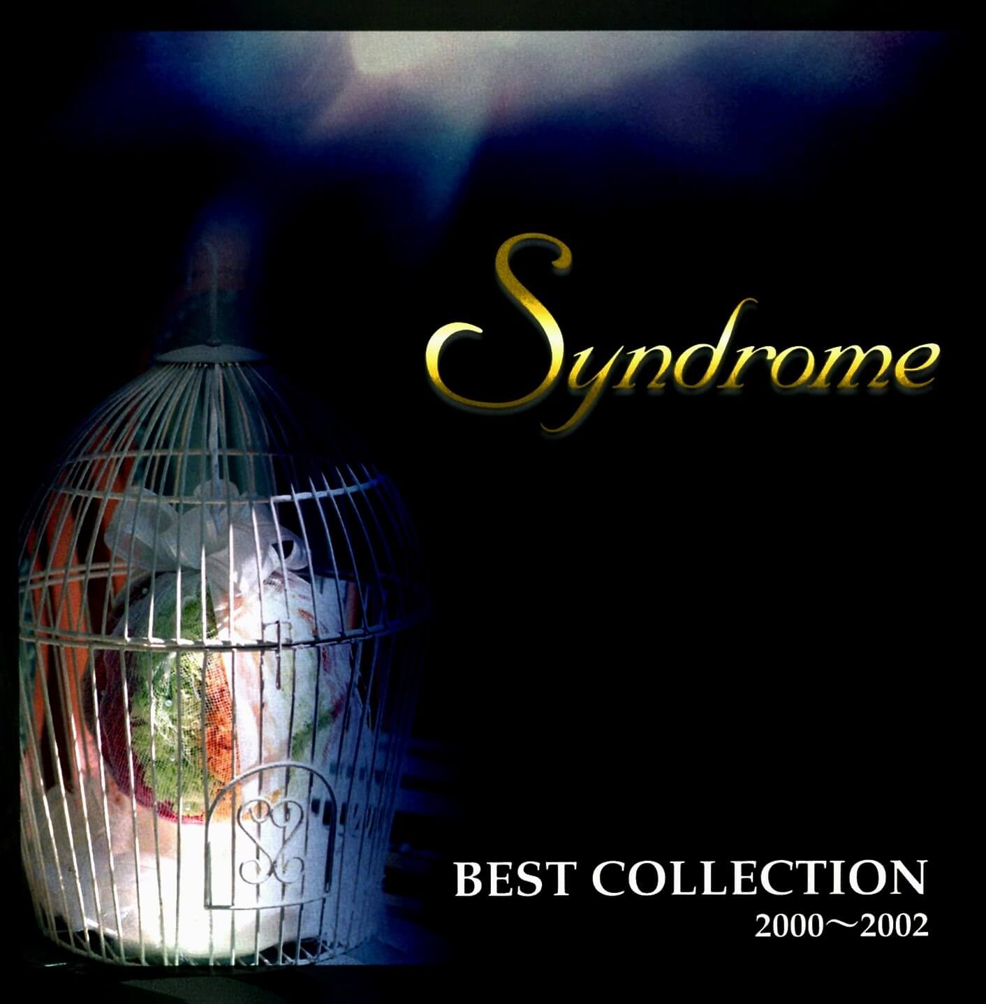 The Very Best of Somatic Sense Pt.1 希少レア BEST COLLECTION 2000~2002 - Syndrome | vkgy (ブイケージ)