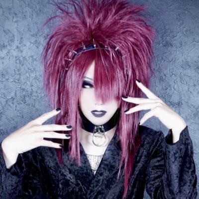 Misanthrope D. Seina (聖涙) solo photo | vkgy (ブイケージ)