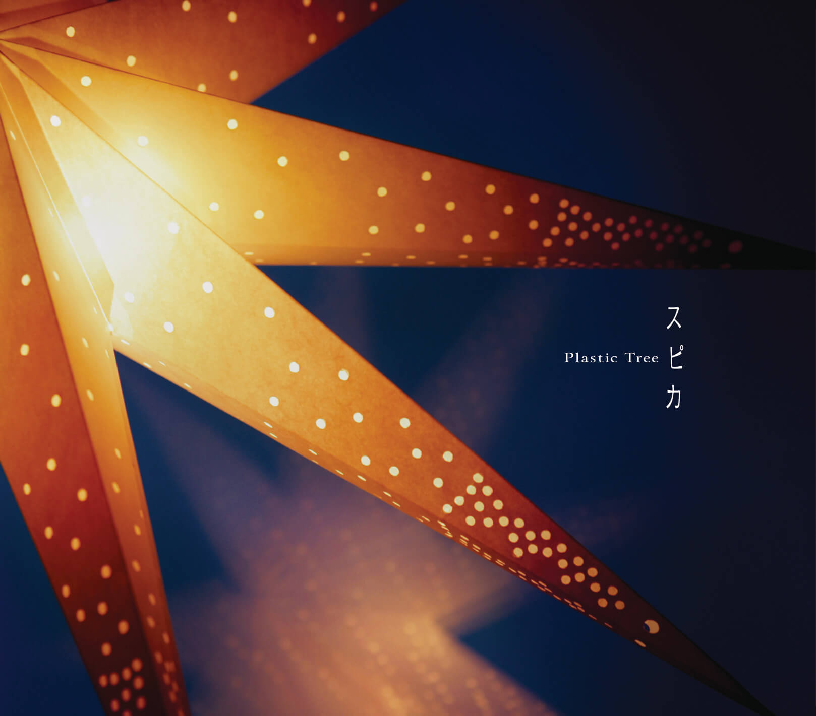 Plastic Tree discography | Plastic Treeディスコグラフィ | vkgy (ブイケージ)