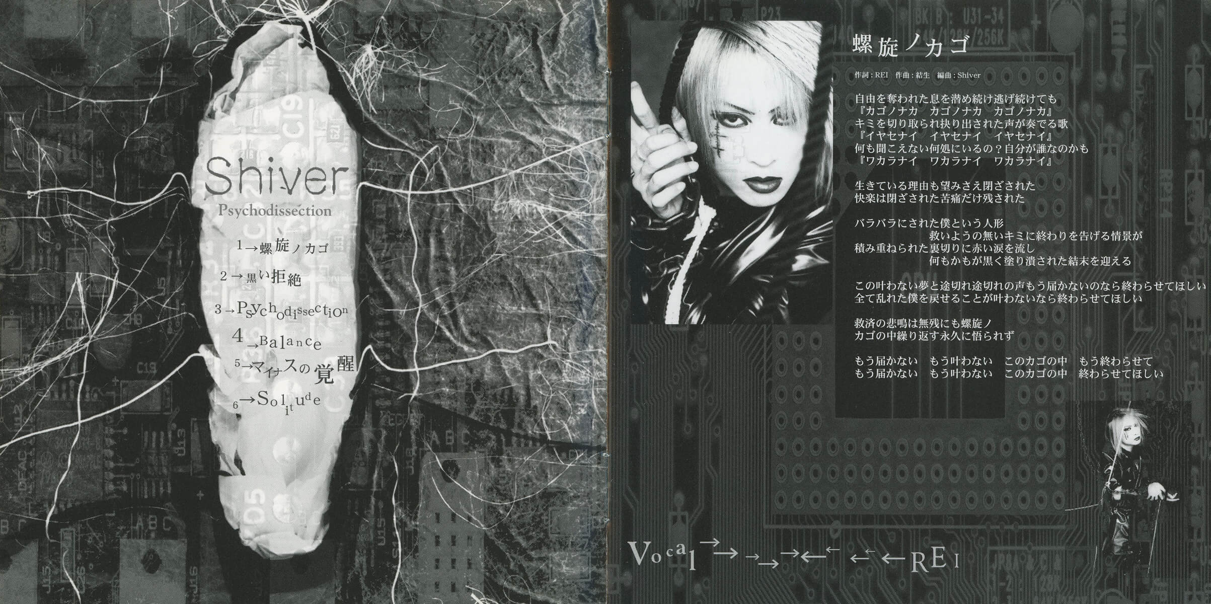 Psychodissection photo | vkgy (ブイケージ)