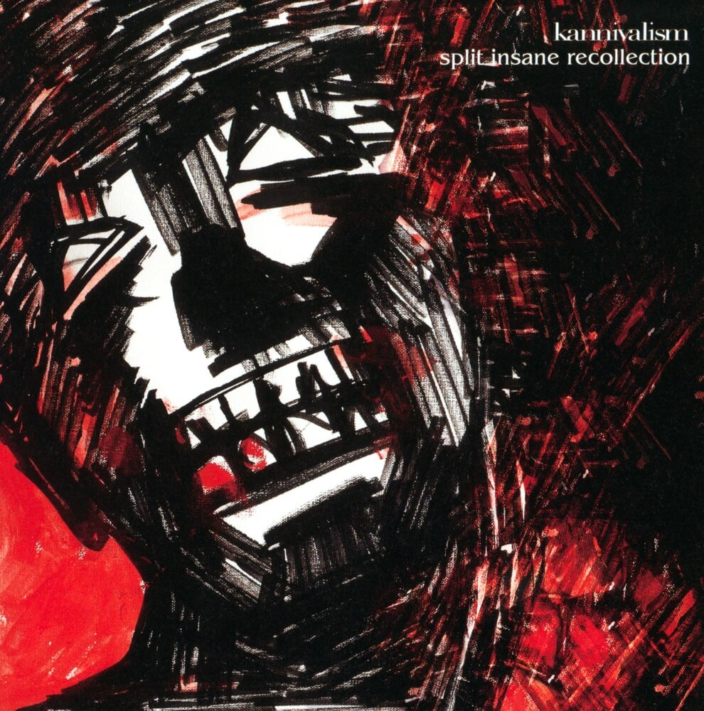 V系★kannivalism★split recollection★DVD★11 kannivalism discography | kannivalismディスコグラフィ | vkgy