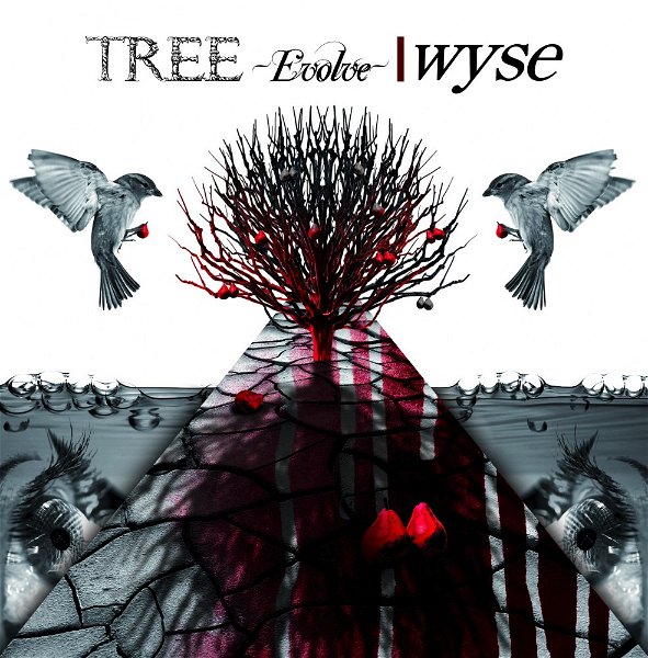 wyse - TREE -Evolve-