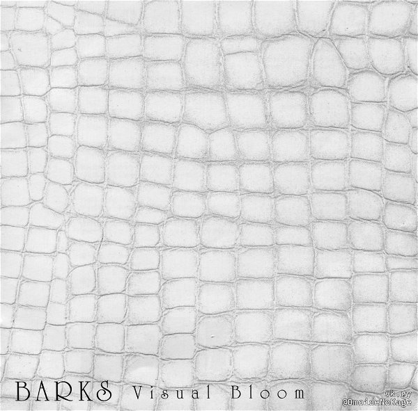 (omnibus) - BARKS Visual Bloom