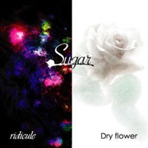 Sugar - ridicule / Dry flower