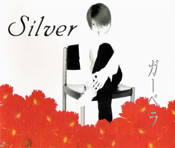 Silver - Gerbera