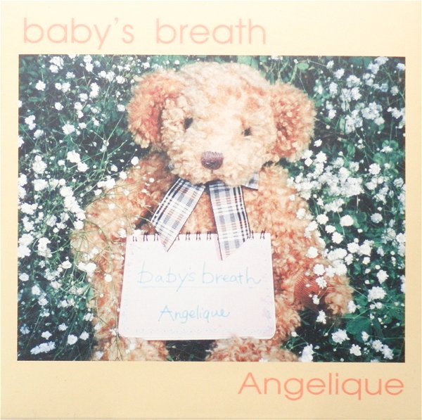 Angelique - baby's breath