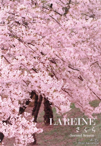 LAREINE - Sakura -Second Season-