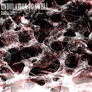 Schmelz Cure - UNDULATION TO SWELL