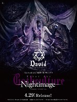 DAVID flyer for Gothculture -Nightimage- Kanzen Gentei-ban