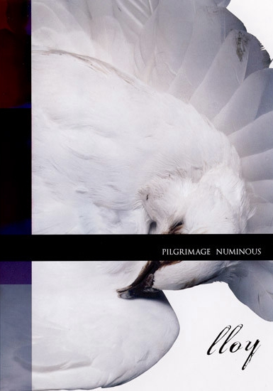 lloy【CD】SONGS / NUMINOUS