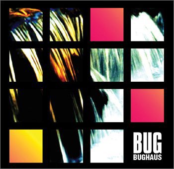 BUG - Bughaus