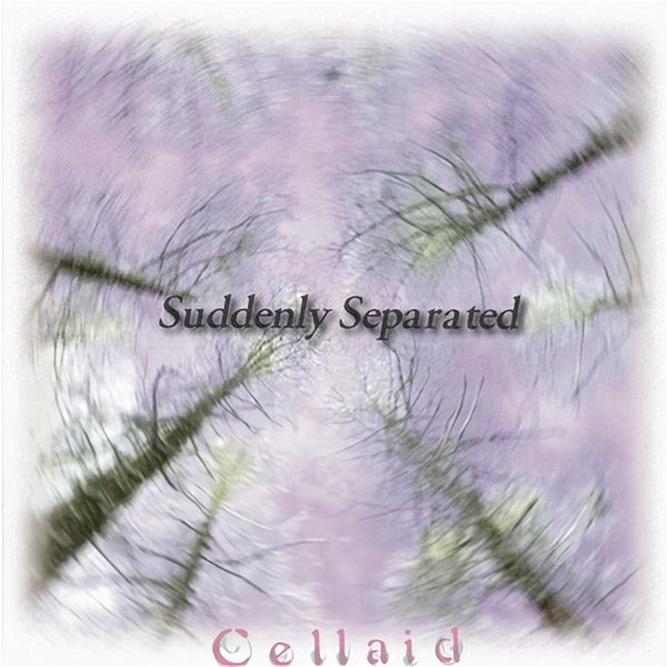 Cellaid - Suddenly Separated