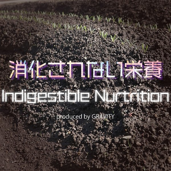 GRAVITY - Indigestible Nutrition 0 yen
