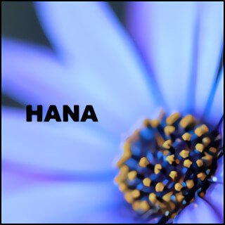 SHANDY SCOPE - Hana