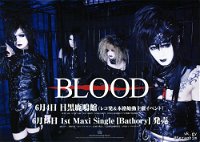 BLOOD Bathory Flyer