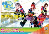 SUPER NOVA flyer (2010)