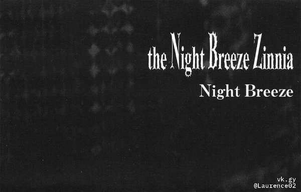 the Night Breeze Zinnia - Night Breeze