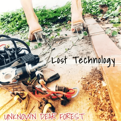 UNKNOWN DEAR FOREST - Lost Technology