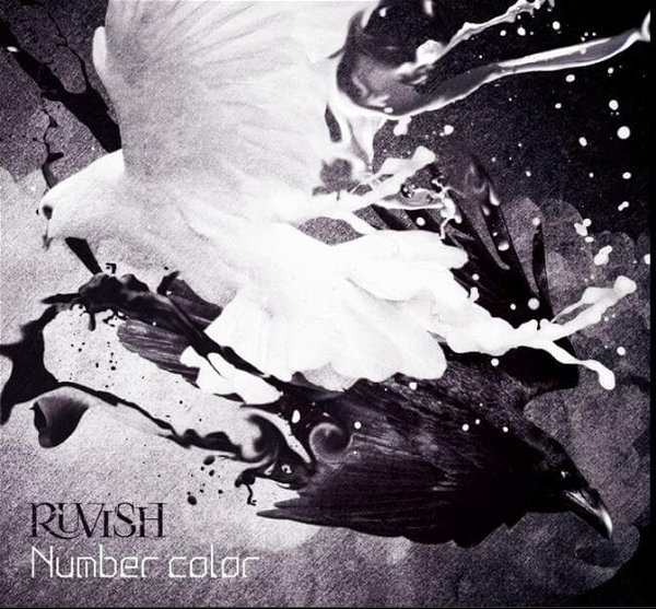RUVISH - Number Color