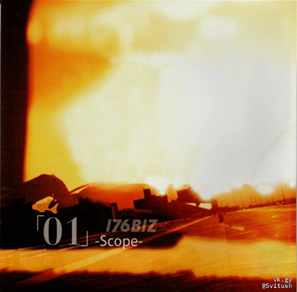 176BIZ - 01 -Scope-