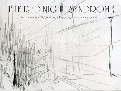 THE RED NIGHT SYNDROME - 2nd demo CD