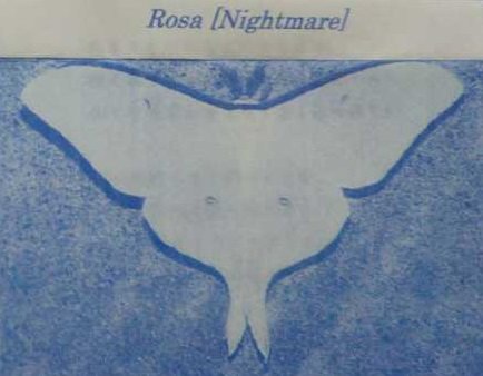 Rosa - 『Nightmare』