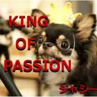 SUPER JASSY - KING OF PASSION