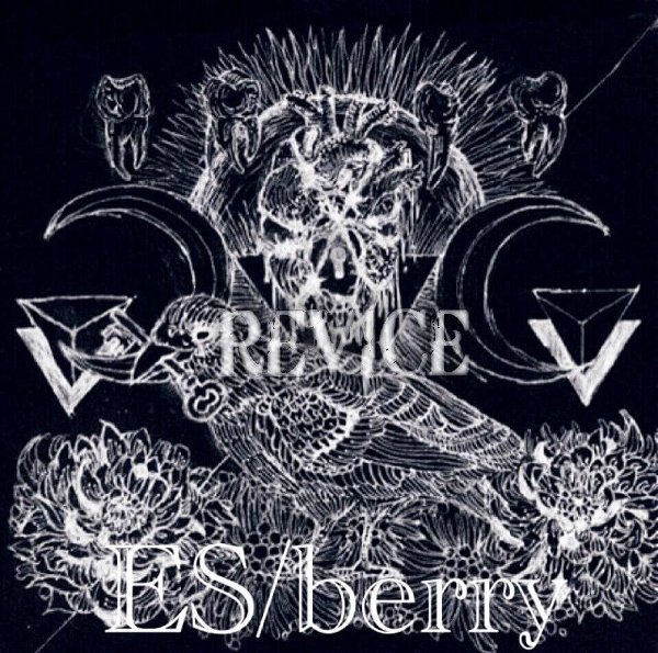 REVICE - ES / berry