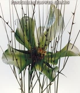 PENICILLIN - FLOWER CIRCUS Shokai Genteiban