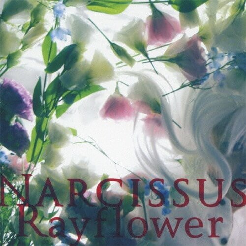 Rayflower - NARCISSUS