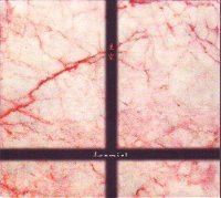 玉置浩二* - ワインレッドの心 (1999, CD) | Discogs