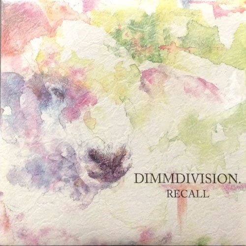 DIMMDIVISION. - RECALL