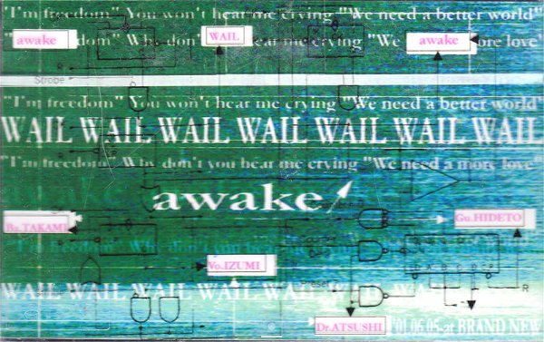 WAIL - awake