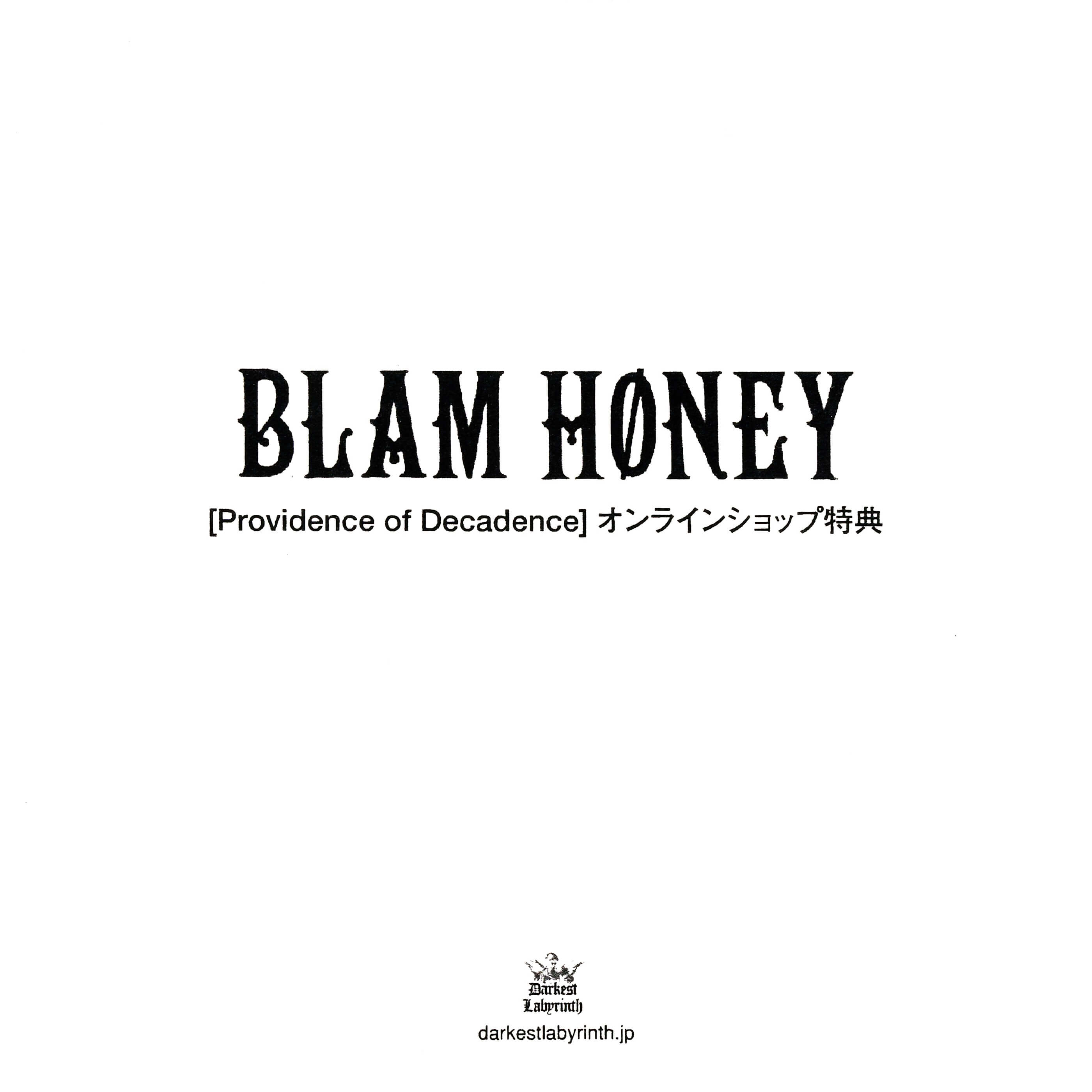 Demo CD-R type A - BLAM HONEY | vkgy (ブイケージ)