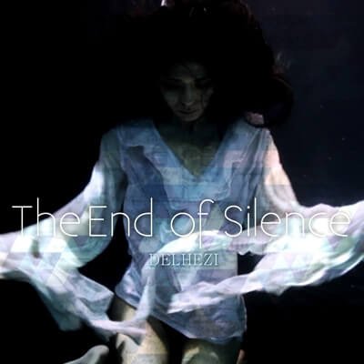 DELHEZI - The end of silence