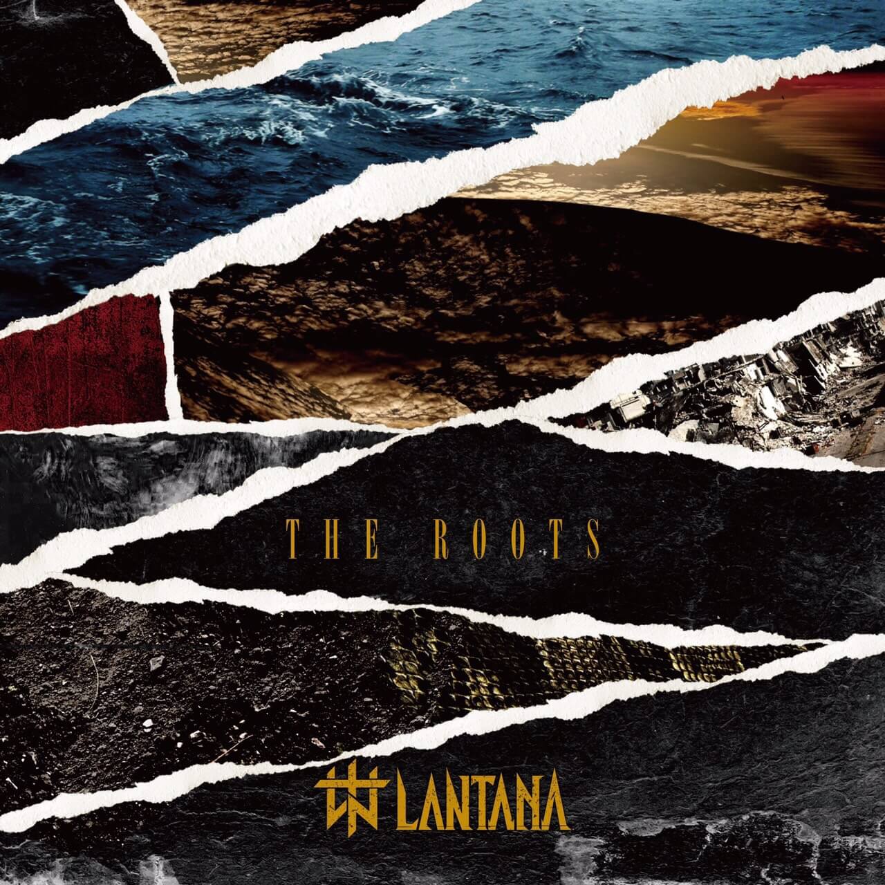 Lantana Rapper THE ROOTS - LANTANA | vkgy (ブイケージ)