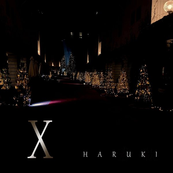 HARUKI - X